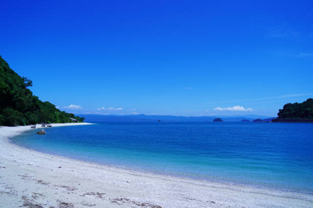 istock Limestone and marble beach of Himedo town coast 1158729696