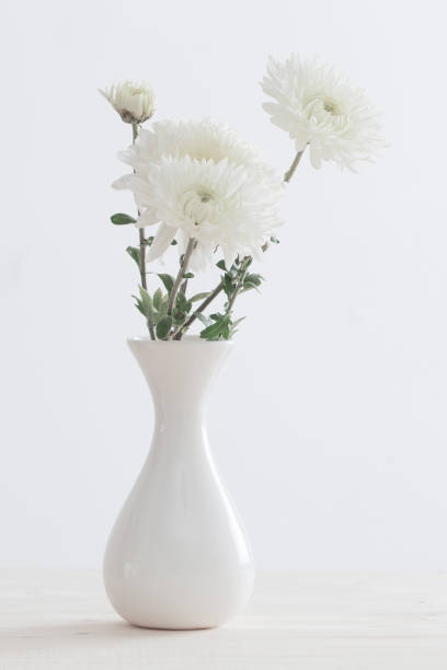 istock chrysanthemum in white vase 1158729765