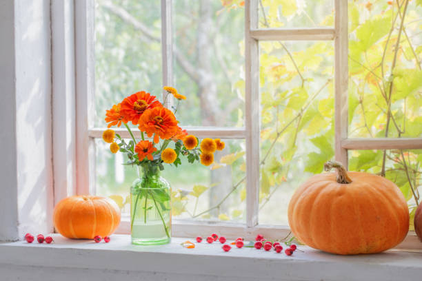 istock orange flowers in vase with pumpkins on windowsill 1158729781