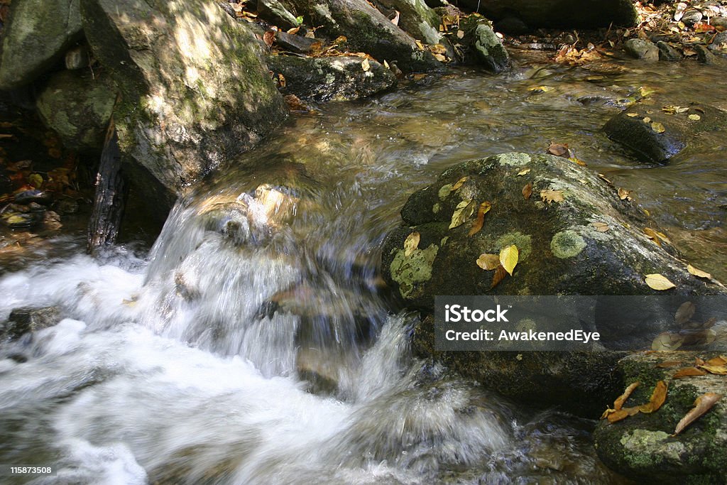 Arroyo rumoroso - Foto de stock de Agua libre de derechos