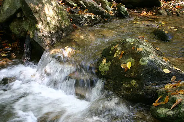 Photo of Babbling Brook