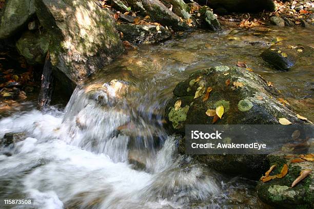 Babbling Brook - Fotografias de stock e mais imagens de Ao Ar Livre - Ao Ar Livre, Barulho, Beleza