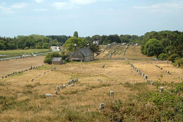 istock The Megaliths of Carnac (France) 115873953