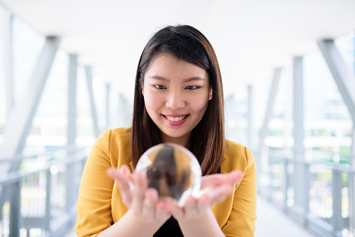 Image of Beautiful Professional Woman with Crystal Ball.