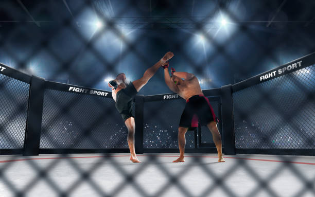 istock MMA fighters on ring. Fighting Championship. 1158744939