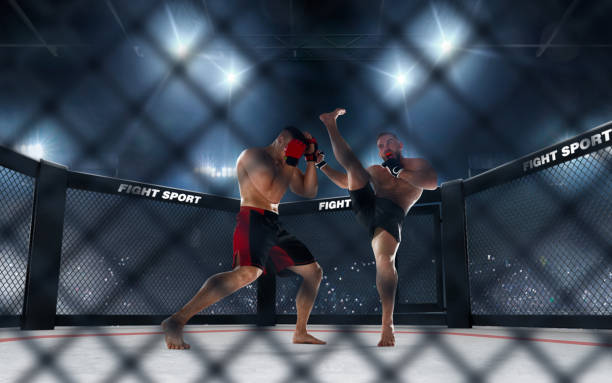 istock MMA fighters on ring. Fighting Championship. 1158744941