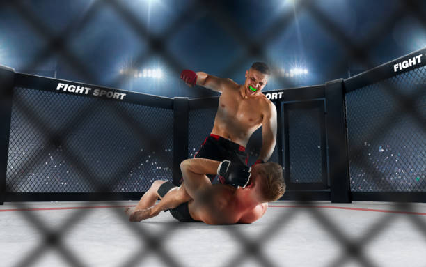 istock MMA fighters on ring. Fighting Championship. 1158744953