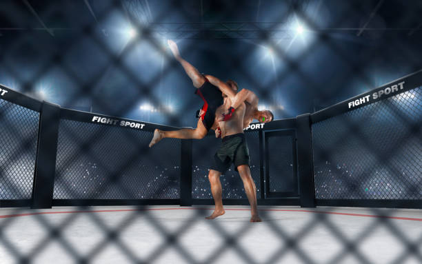 istock MMA fighters on ring. Fighting Championship. 1158744961