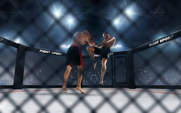 istock MMA fighters on ring. Fighting Championship. 1158745004