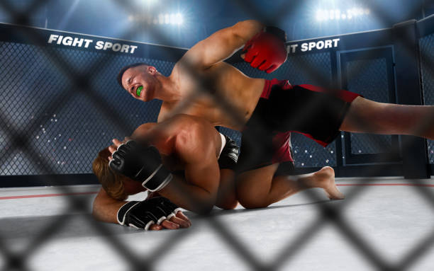 istock MMA fighters on ring. Fighting Championship. 1158745005