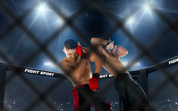 istock MMA fighters on ring. Fighting Championship. 1158745013