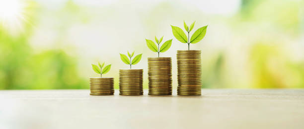 istock money stack with plant growing. finance and accounting concept 1158746388