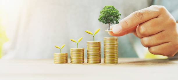 istock businessman putting money stack with tree growing on table concept saving finance and accounting 1158746394