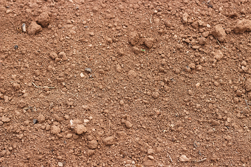 A brown soil close up, texture, natural background, view from above