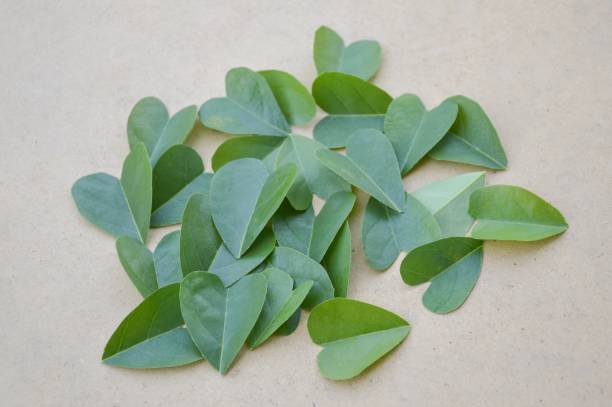 istock heart leaves on wooden table 1158747403