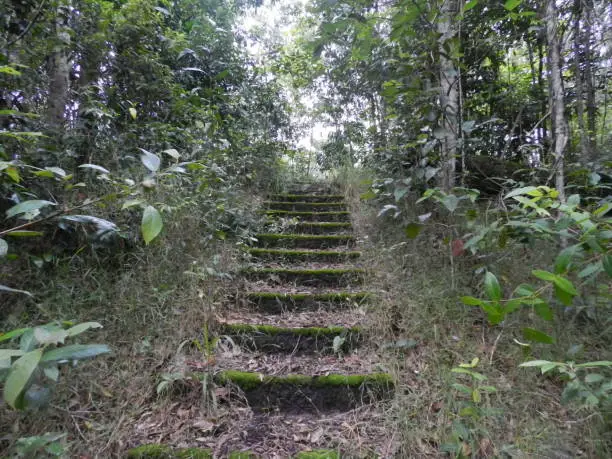 Wooden stairs on a track