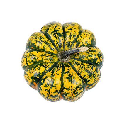 A single Gorgonzola pumpkin taken from above isolated on white background