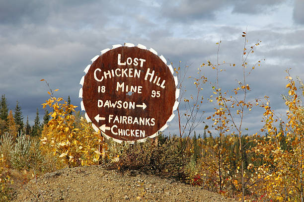 Signpost on Taylor Highway,Alaska,USA Signpost on the Taylor Highway,Alaska.The Lost Chicken Hill Mine was established in 1895 and this area is still being mined. alaska gold rush stock pictures, royalty-free photos & images