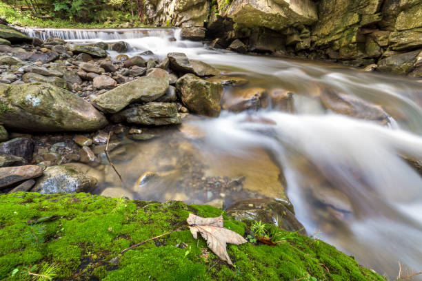 istock Fast flowing river stream with smooth silky water falling from big stones in beautiful waterfalls on bright sunny summer day. 1158754240