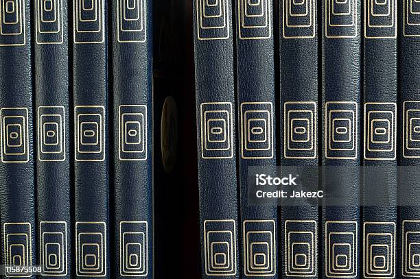 Libro Mancante - Fotografie stock e altre immagini di Libro - Libro, Scaffale, Archivio