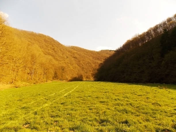 istock Summer farm in Luxembourg, Europe 1158755302