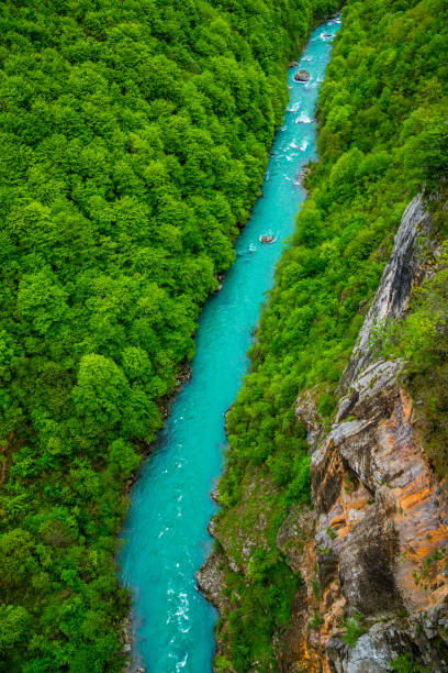 Montenegro, View above azure waters of tara river stream course flowing through green unspoiled nature landscape of majestic tara canyon perfect location for adrenaline sports like rafting stock photo