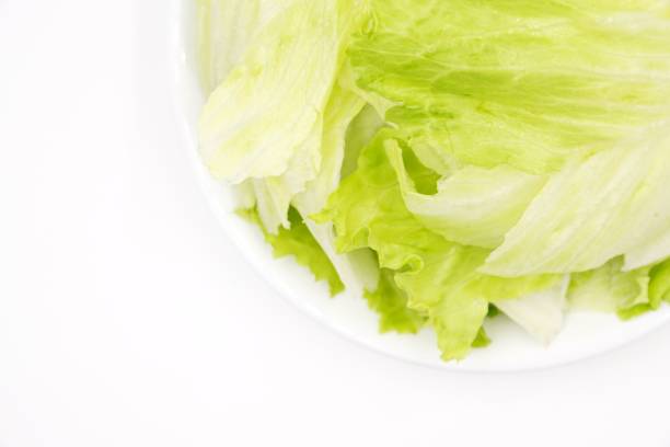 istock Green iceberg lettuce for consumption 1158757150