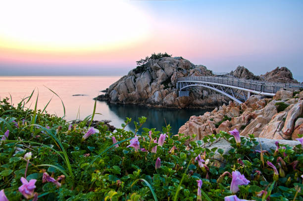 Sunrise at Daewangam Park