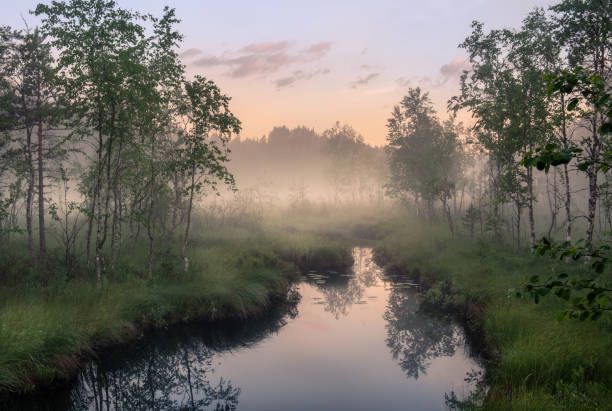 opinião idílica do rio com o por do sol tranquilo e nevoento na noite do verão no pantanal, finlandia - spring forest scenics wetland - fotografias e filmes do acervo
