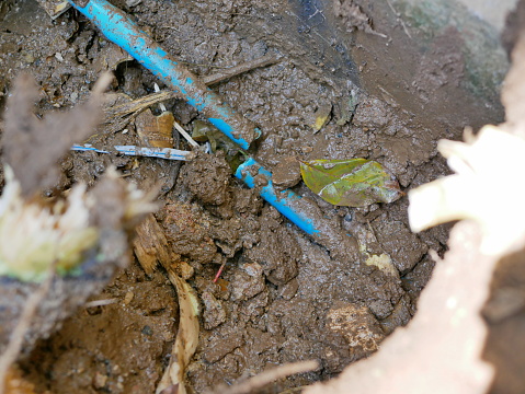 Leaked underground PVC, polyvinyl chloride, water pipe, caused / pushed broken by big tree root, was dug out from the ground