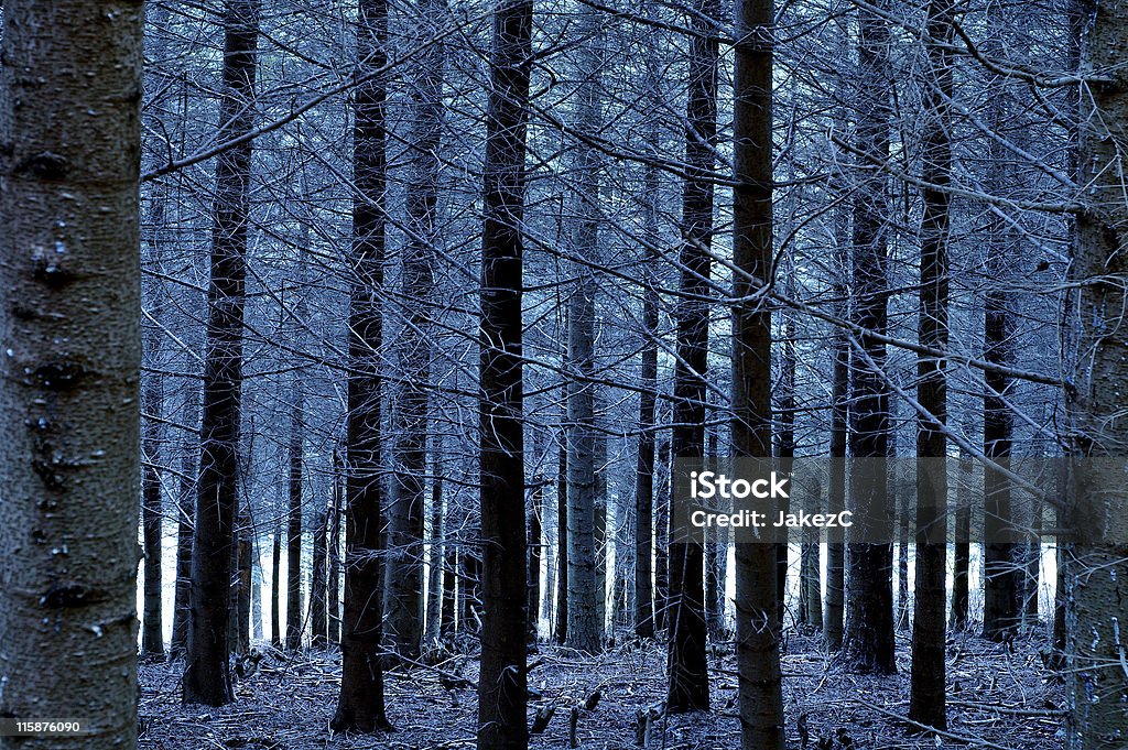 Blues-Wald - Lizenzfrei Angst Stock-Foto