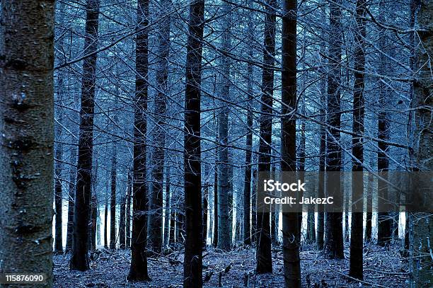 Blues Foresta - Fotografie stock e altre immagini di Albero - Albero, Ambientazione esterna, Blu