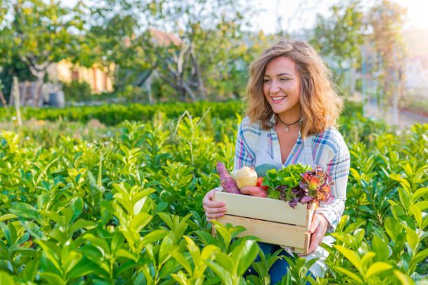 manos de mujer sosteniendo caja de madera con verduras orgánicas frescas de la granja - radish vegetable farmers market gardening fotografías e imágenes de stock