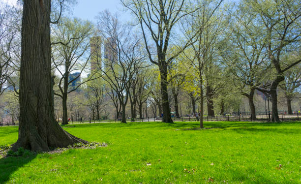 istock Spring Day in Central Park, New York City. 1158762248