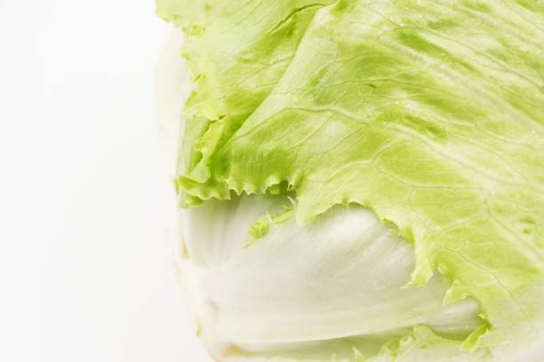 istock Green iceberg lettuce for consumption 1158762332