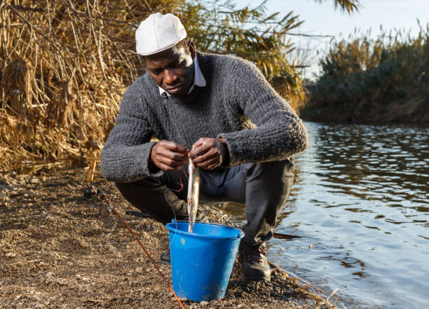 istock Fisherman putting fish in bucket 1158763492