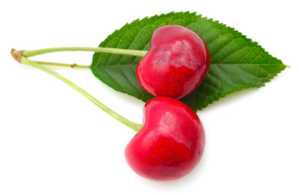 cereza roja fresca madura aislada. - sour cherry cherry sour taste cute fotografías e imágenes de stock