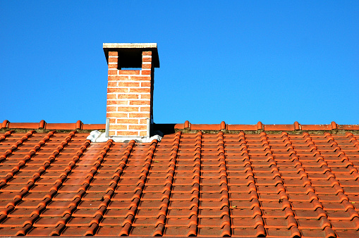 A single pigeon on the ridge of a roof cropped against green trees in the background