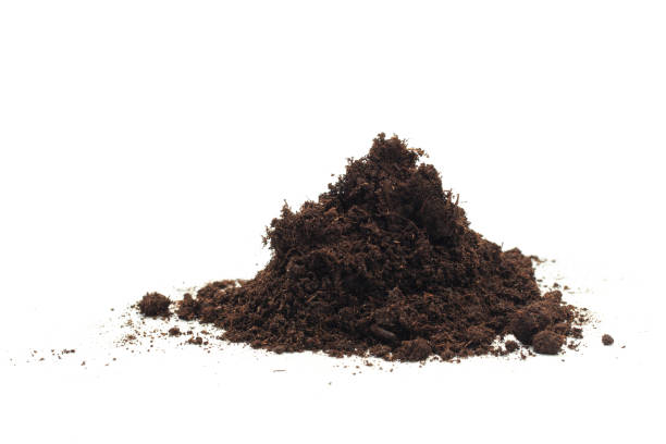 istock pile of soil isolated on white background - Image 1158765479