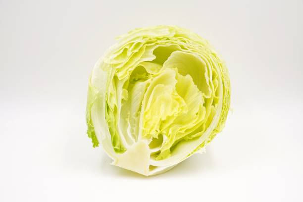 istock Green iceberg lettuce for consumption 1158768168