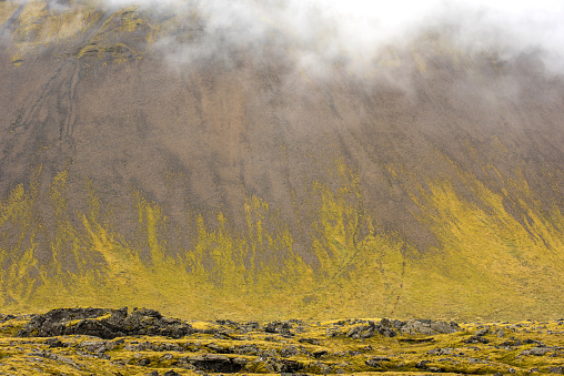 Eldhraun lava field, flow and ridge covered with green moss in Iceland