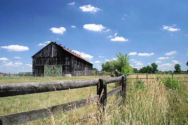 Farm and Barn old farm scene under perfect blue sky tennessee photos stock pictures, royalty-free photos & images