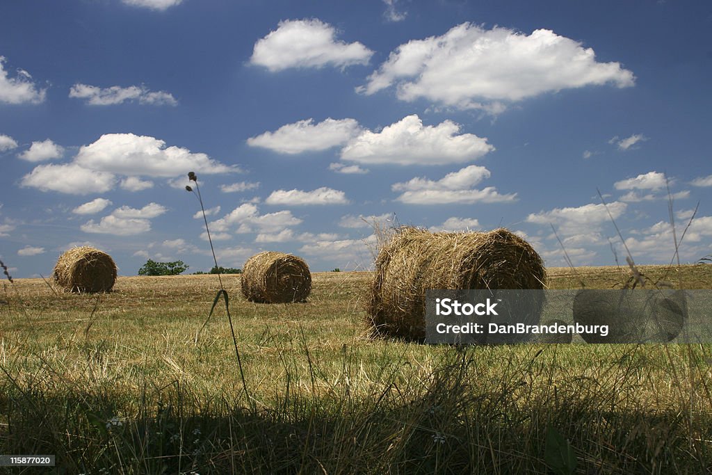 Farm di fieno - Foto stock royalty-free di Kentucky