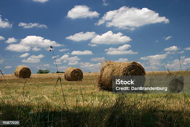 Foto de Feno De Fazenda e mais fotos de stock de Kentucky - Kentucky, Cena Rural, Fazenda