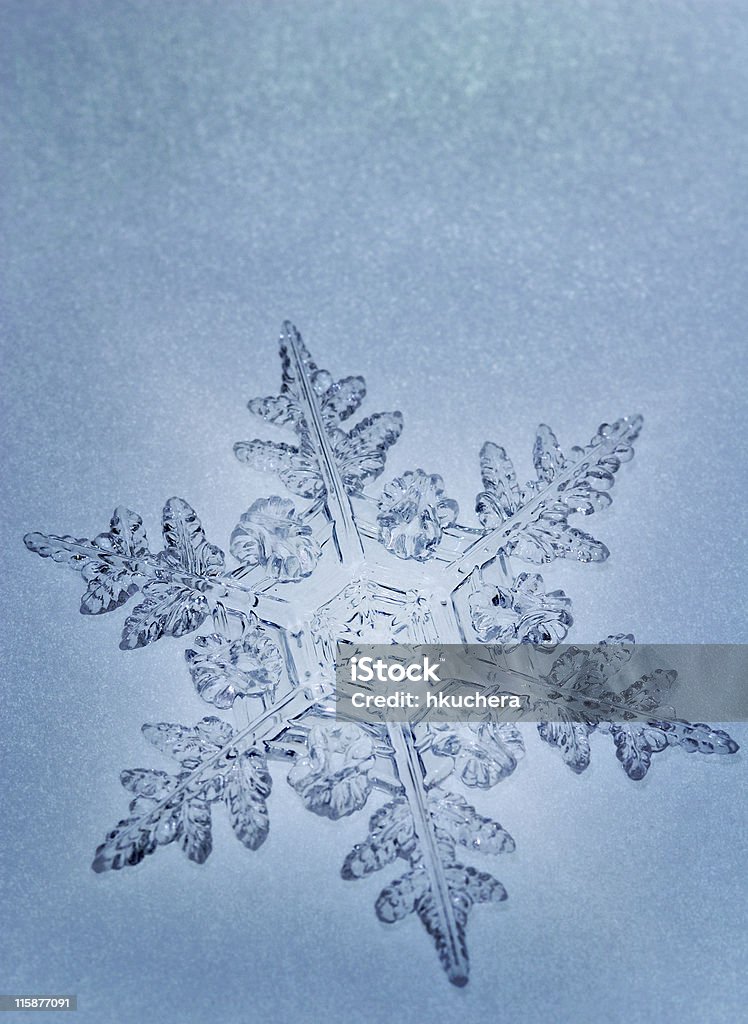 Tono copo de nieve azul - Foto de stock de Aire libre libre de derechos