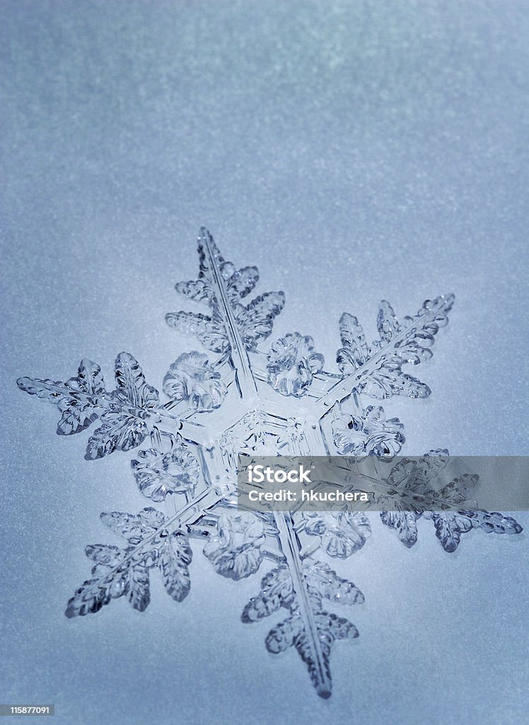 Fiocco di neve blu tono - Foto stock royalty-free di Ambientazione esterna