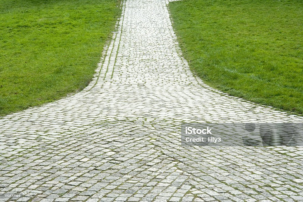 place und lane mit grauen Steinen green Gras - Lizenzfrei 19. Jahrhundert Stock-Foto