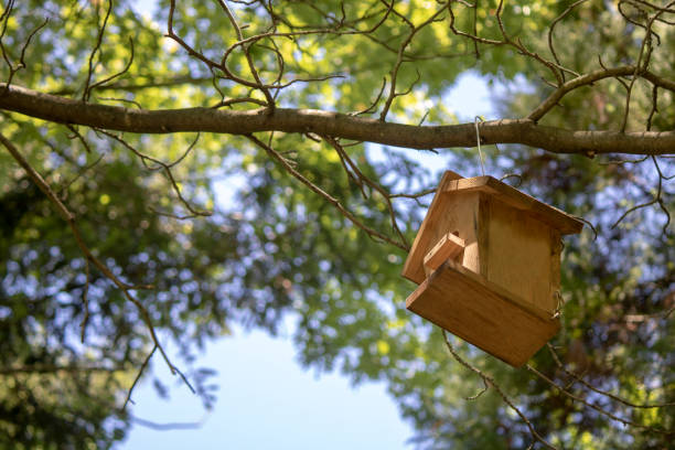 istock Wooden birdhouse. 1158773127