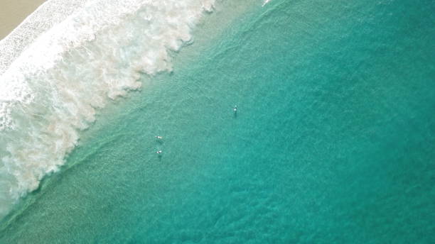 istock Surfers in the sea 1158775340