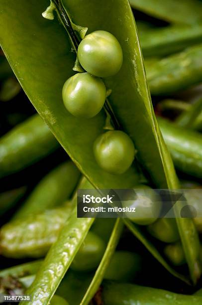エンドウ豆 - エンドウ豆のストックフォトや画像を多数ご用意 - エンドウ豆, オーガニック, カラー画像